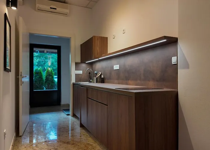 Daire Luxury Simba C Smarjeske Toplice