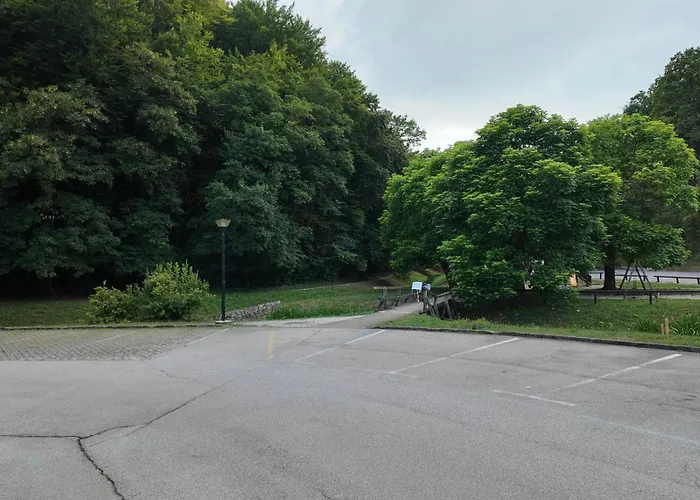 Luxury Simba C 公寓 *