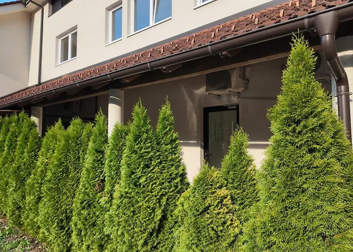 Luxury Simba C * 斯玛杰克托莱塞